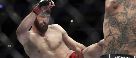 UFC 282 Odds Ankalaev Vs Blachowicz Betting Preview Insights