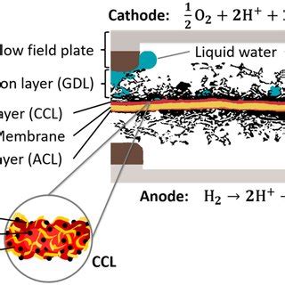 Schematic Of Polymer Electrolyte Fuel Cell PEFC Components Obtained