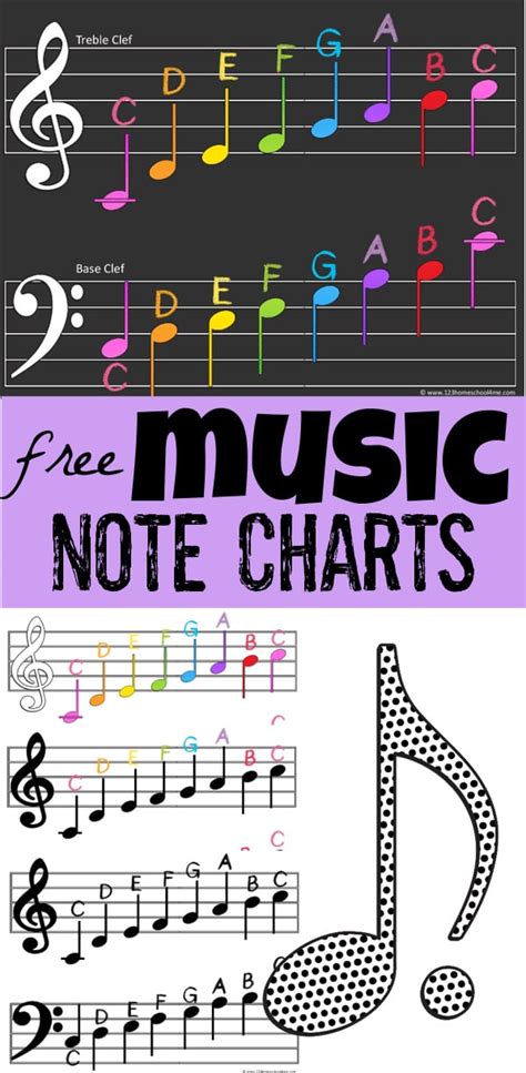 🎼 FREE Printable Music Notes Chart