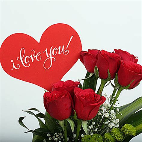 Red Roses Love Arrangement | Gift Rose Bunches - Ferns N Petals