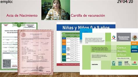 Ejemplos De Documentos Oficiales Tipos Y Formatos Comunes A Conocer