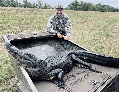 Louisiana Alligator Hunts and Swamp Tours | Gator Pros