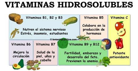 ¿qué Son Las Vitaminas Y Los Minerales El Consultorio Nutritivo