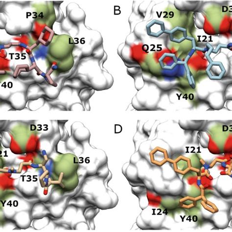 Peptidomimetic In Silico Improvement In Silico Predicted Binding Modes