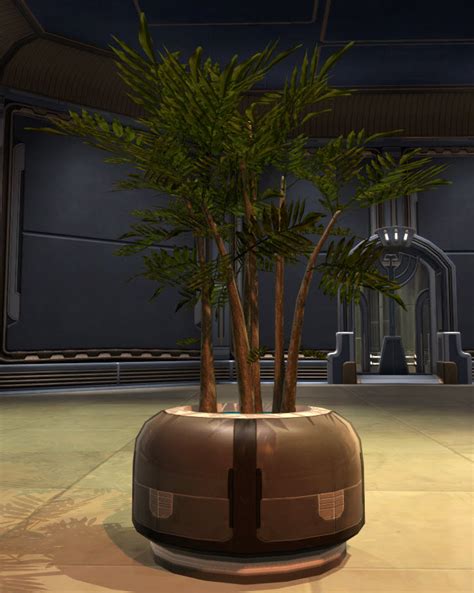 Tor Decorating Potted Plant Zakuul Vertical Bush Swtor