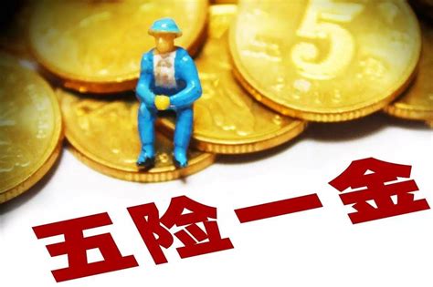 五险是哪五种保险？一金是哪一金？ 图强作文网