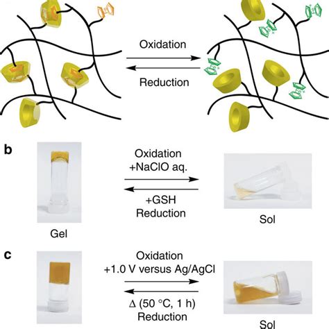 Redox Responsive Solgel Transition Experiment A Schematic