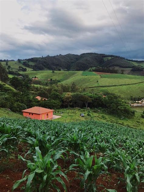 Casinha na roça Vila do Arieiro em Delfim Moreira