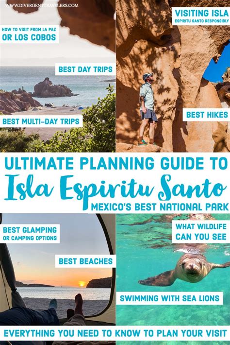 Isla Espiritu Santo In Mexico Ultimate Planning Guide Mexico Travel