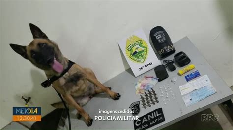 auxílio de cão farejador polícia encontra drogas em forro de