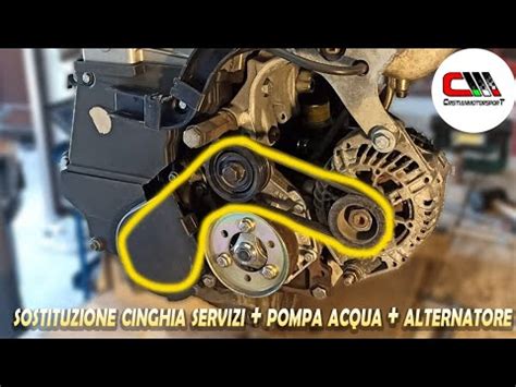 Sostituzione Cinghia Servizi Pompa Acqua Alternatore Clio 1 8 16v