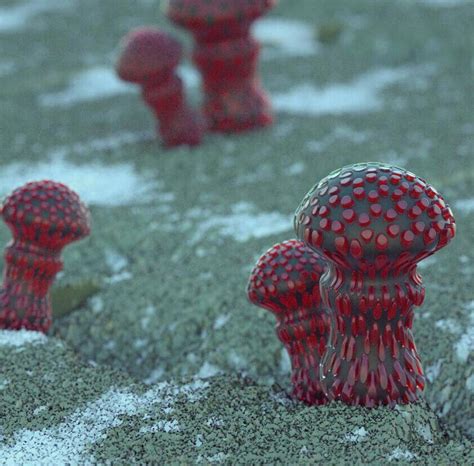 Alien Mushrooms by Bildecht on DeviantArt