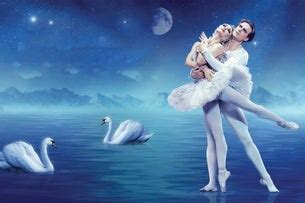 Le Lac Des Cygnes Ballet Et Orchestre Le Lac Des Cygnes Arena