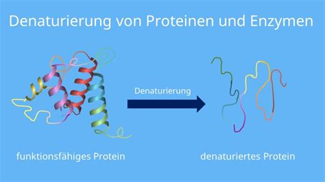 Proteine Strukturen Bindungen