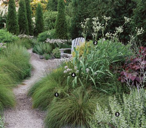 Gorgeous Drought Tolerant Garden Plans And Ideas Fine Gardening