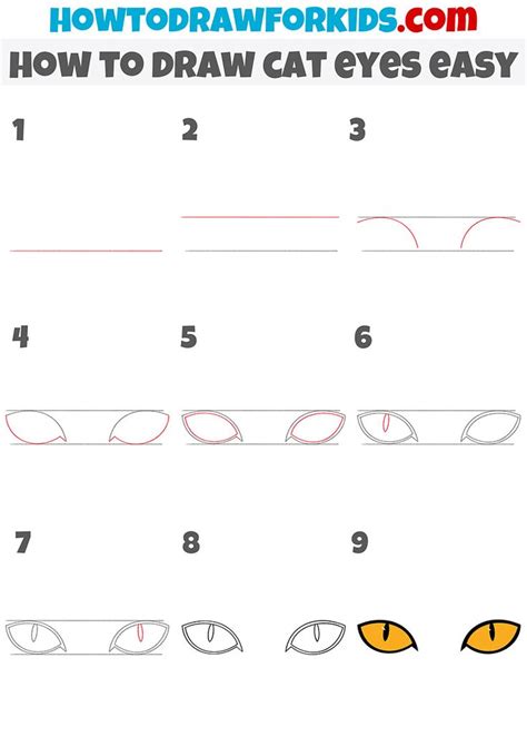 How To Draw Cat Eyes Easy Step By Step Cat Drawing Step By Step