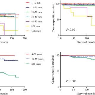 A Overall Survival Os And Cancer Specific Survival Css Of