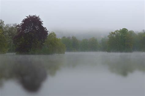 La Nature Parksee Brouillard Photo Gratuite Sur Pixabay Pixabay