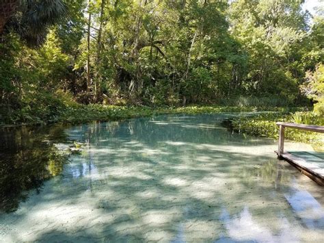 The Natural Lazy River In Florida Has Summer Written All Over It Visit