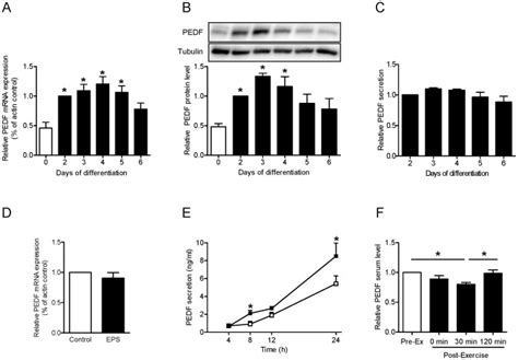 A Relative Gene Expression Of Pedf During Differentiation Of Myotubes