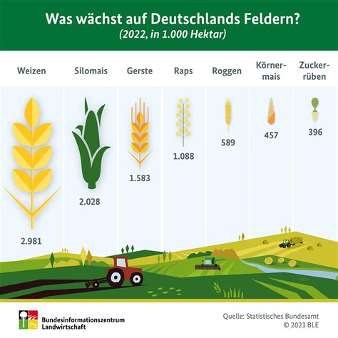 Was W Chst Auf Deutschlands Feldern Bzl