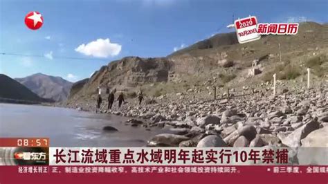 长江流域重点水域明年起实行10年禁捕新浪新闻