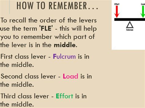 3.1.2.1 - Lever Systems, examples of their use in activity and the mechanical advantage they ...