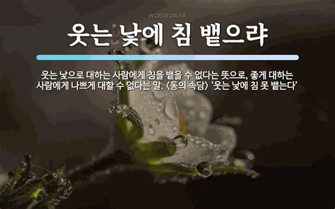 웃는 낯에 침 뱉으랴 뜻 웃는 낯으로 대하는 사람에게 침을 뱉을 수 없다는 뜻으로 좋게 대하는 사람에게 나쁘게 대