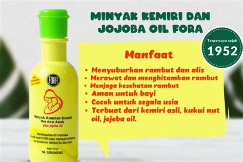 Minyak Kemiri Di Alfamart Manfaat Kegunaan Dan Cara Menggunakannya