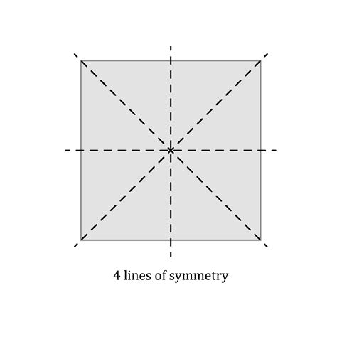 Lines Of Symmetry In 2d Shapes Maths Explanation And Exercises Evulpo