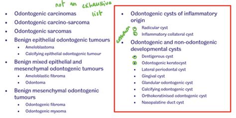 Cysts Of The Jaws Classification And Development Of Odontogenic Non