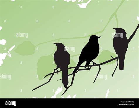 Distant Bird Stock Vector Images Alamy