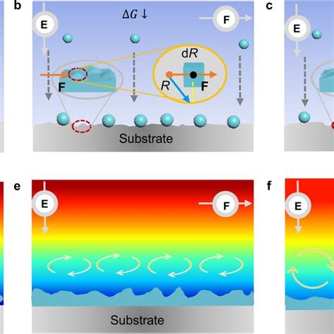 Morphological Evolution Of The Li Metal Depositions Schematic