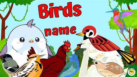 Lets Fly Super Fun Facts About Amazing Birds Names Of Birds Pre