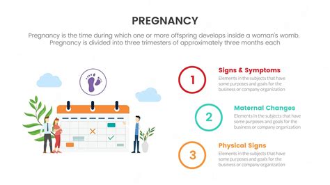 Premium Vector Pregnancy Infographic Concept For Slide Presentation