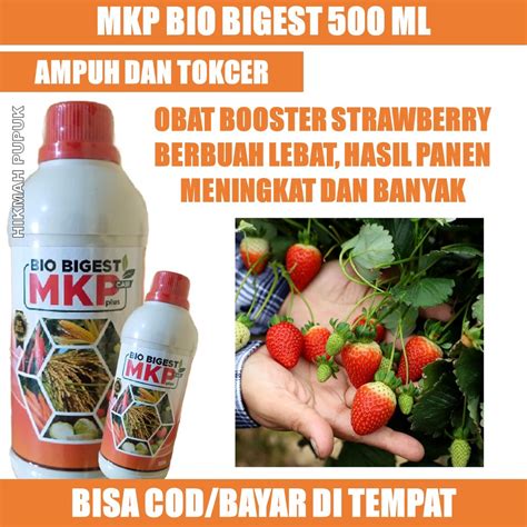 Jual Pupuk Mkp Cair Bio Bigest Isi Ml Pupuk Semprot Pelebat Tanaman