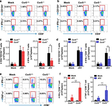 Adaptive T Cell Responses Of Ccr5 Ablated Mice Following Jev Infection