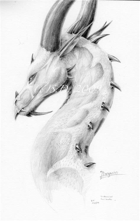 Morganiss By Leccathufurvicael On Deviantart Dragones Mitologicos