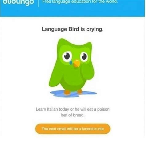 26 Duolingo Memes That Ll Strike Fear In Your Heart Duolingo