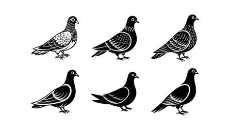 Premium Vector Pigeon Vector Set Silhouette Illustration