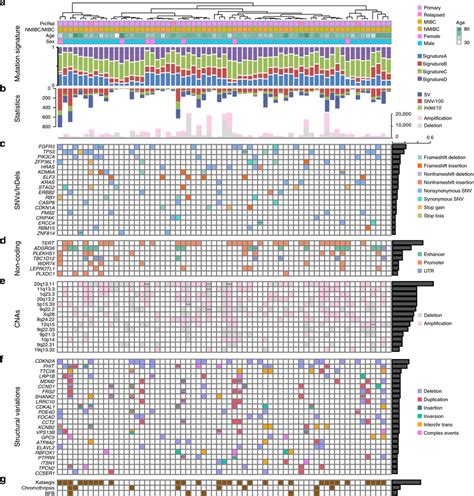 Multidimensional Genomic Mutational Landscape In UBC A Genome Wide