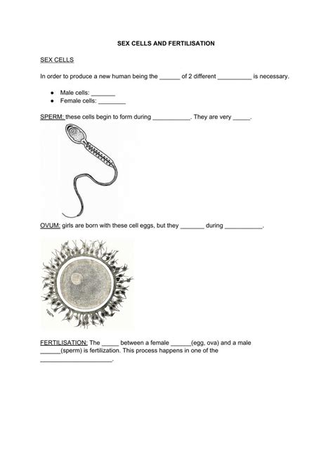 Sex Cells And Fertilisation Online Exercise For Live Worksheets