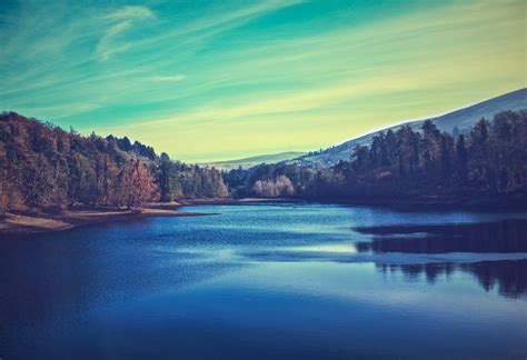 Download A Lake In A Forest Free Stock Photo And Image Picography