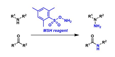 MSH Reagent | Chem-Station Int. Ed.