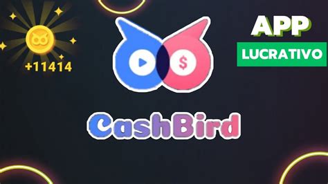 Cashbird App Top Para Ganhar Dinheiro No Pix Veja Como Funciona Youtube