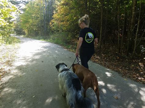 Off The Beaten Trail Dog Boarding Facility Newark Vt