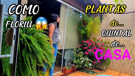 Rotina Mostrando Minhas Plantas 🪴do Quintal De Casa Tour 😱como Floriu Youtube