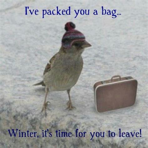 Bird Humor Ive Packed Your Bag Winter Its Time For You To Leave