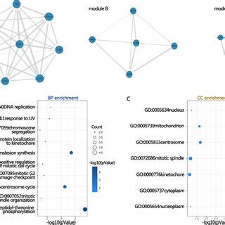 Three Modules Extracted From Proteinprotein Interaction Ppi Network