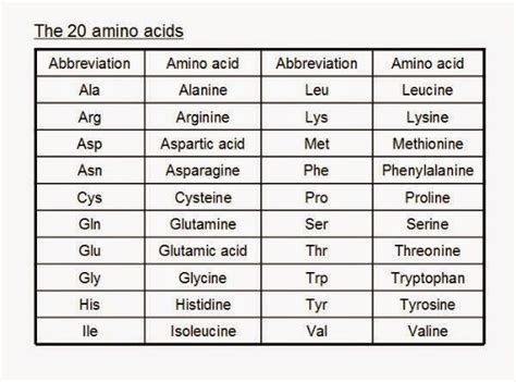 Essential Amino Acids in Products | Health Guide